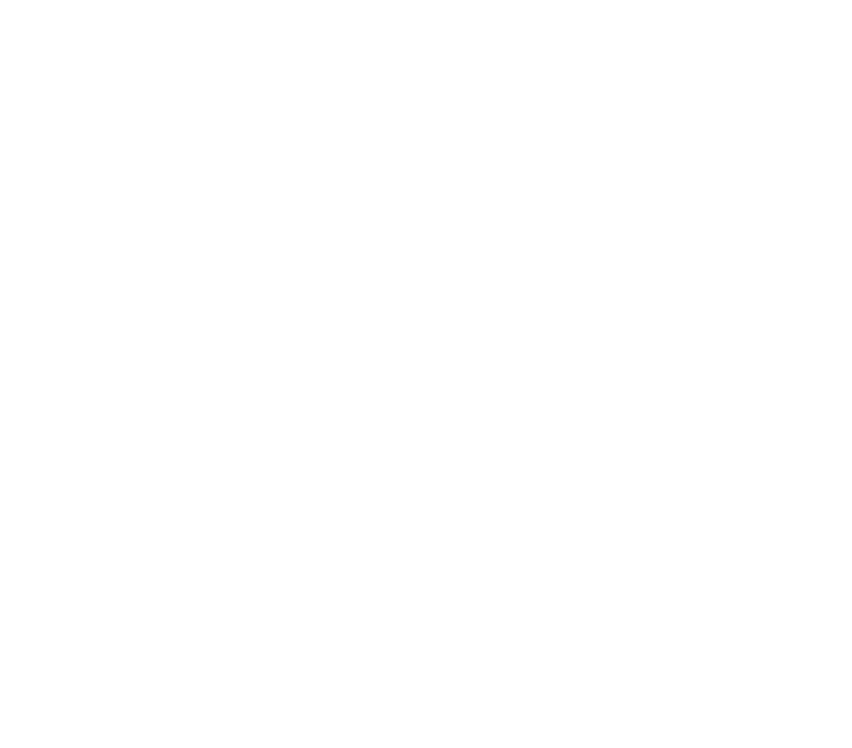 CITROEN_RACING_logo_2016_White 2