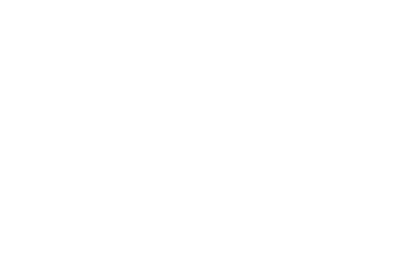 Logo French Glisse en blanc