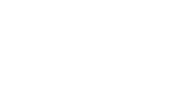 World endurance championship